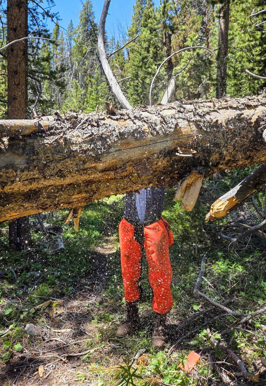 A Trail Crew for the Whole Forest